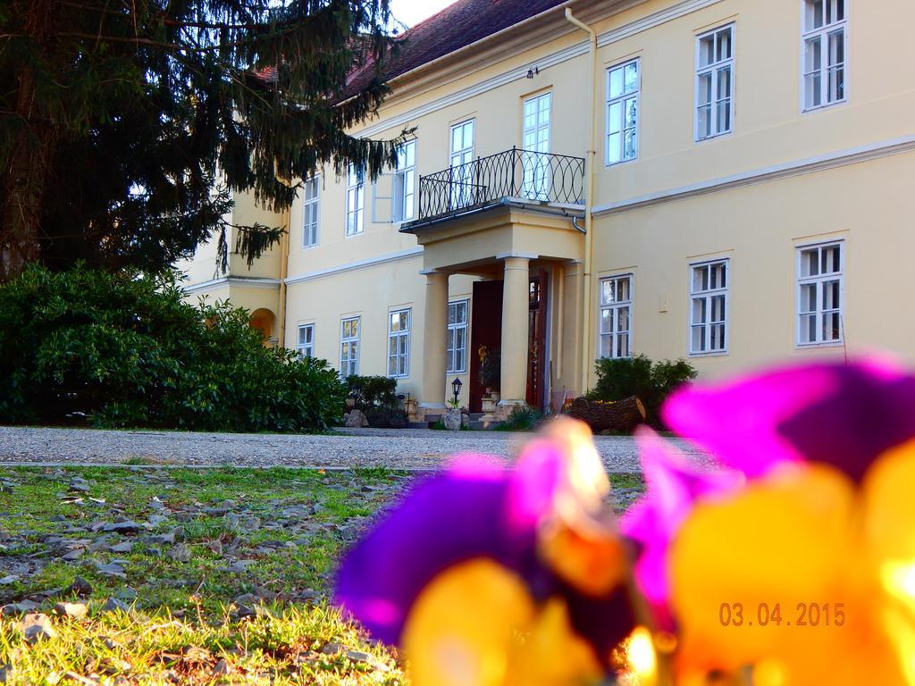 Hotel Kastelyszallo Szarkavar Kaposújlak Exteriér fotografie